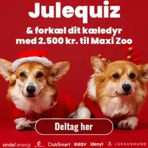 Quiz & vind 1.000 kr. til Café Vivaldi